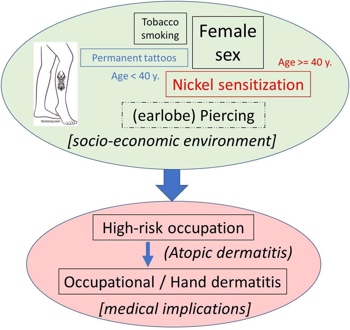 Epidemiology of patch tested patients with permanent tattoos—A comparative analysis of 9693 IVDK patients (2020–2022)