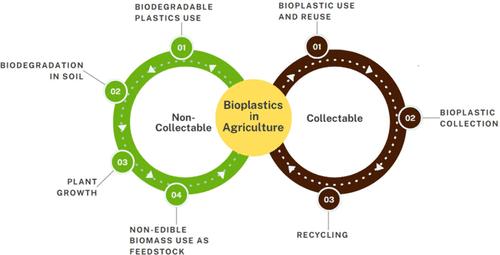 Embracing Nature’s Clockwork: Crafting Plastics for Degradation in Plant Agricultural Systems