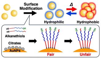 Fair surface modification with mixed alkanethiols on gold nanoparticles through minimal unfair ligand exchange†