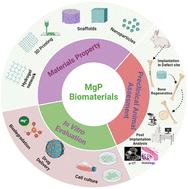 Research progress on biodegradable magnesium phosphate ceramics in orthopaedic applications