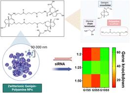 Efficient siRNA delivery to murine melanoma cells via a novel genipin-based nano-polymer†