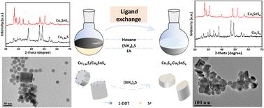 Ligand exchange induced crystal structure and morphology evolution of copper–tin–sulfur binary and ternary compounds†