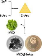 Synergistic antioxidant and antibacterial effects of a Zn-ascorbate metal–organic framework loaded with marjoram essential oil†