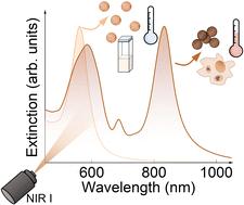 Finite element modeling of plasmonic resonances in photothermal gold nanoparticles embedded in cells†