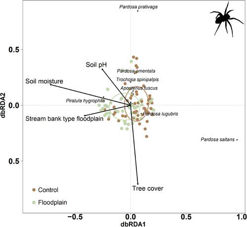 Small stream floodplains have high conservation value for riparian carabid beetles but less for ground-dwelling spiders