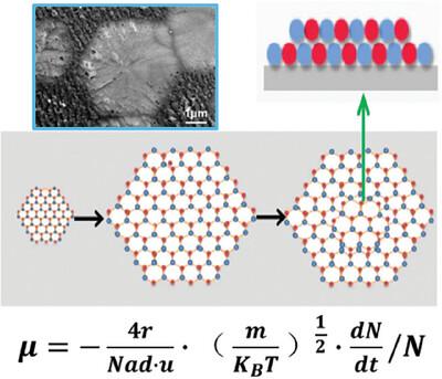 The Growth Mechanism of Layered Hexagonal Boron Nitride Crystal on Copper Foil