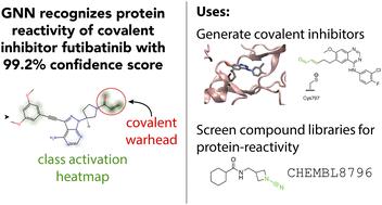 Graph neural networks for identifying protein-reactive compounds†