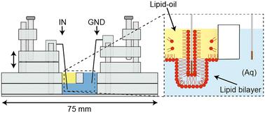 A handheld laser-cut device for the size-controlled assembly and electrical characterisation of lipid bilayers†