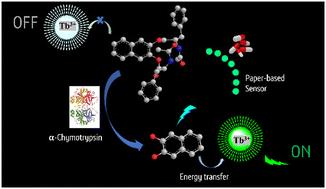 Paper-based sensing of pancreatic-cancer biomarker α-chymotrypsin through turn-on lanthanide-luminescence†