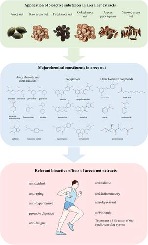 Extraction and identification of bioactive compounds from areca nut (Areca catechu L.) and potential for future applications