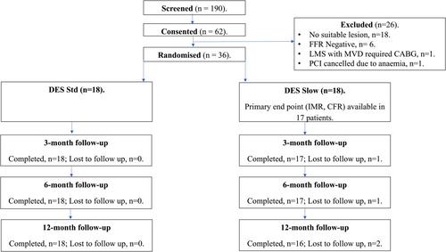 Evaluation of microcirculatory protection in percutaneous revascularisation: A stent implantation technique and device comparison