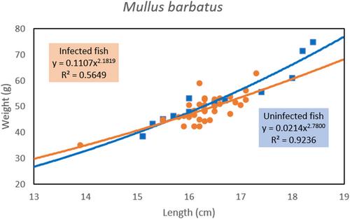 Mullus barbatus L. and Mullus surmuletus L. from western Mediterranean waters (SE Spain) are infected by Hysterothylacium fabri, but not by zoonotic nematodes. Possible impact on fish hosts#