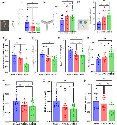 Whey protein hydrolysate intervention ameliorates memory deficits in APP/PS1 mice: Unveiling gut microbe–short-chain fatty acid–brain axis