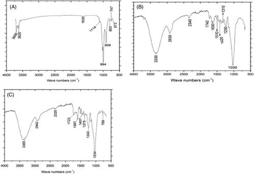 Properties of ceramic membranes obtained from kaolinitic clay mixed with palm and mango wastes from Cameroon: Application to wastewater treatment from breweries