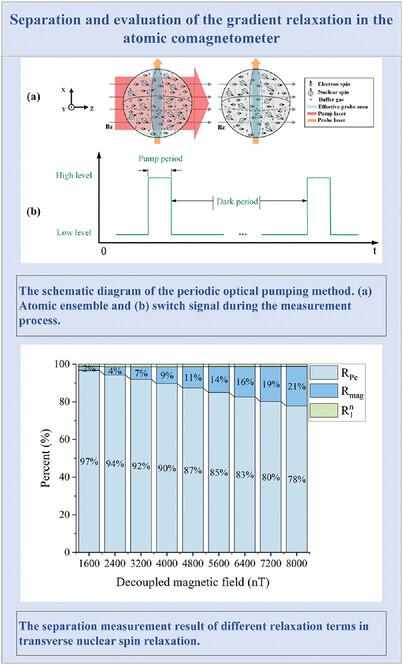 Separation and Evaluation of the Gradient Relaxation in the Atomic Comagnetometer