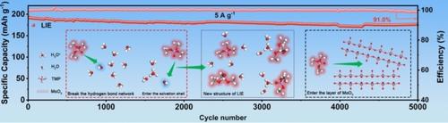 Realization of Long-Life Proton Battery by Layer Intercalatable Electrolyte