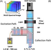 Toward noncontact macroscopic imaging of multiple cancers using multi-spectral inelastic scattering detection