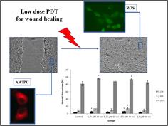 The effect of low-dose photodynamic therapy using the photosensitizer chloroaluminum phthalocyanine on a scratch wound model in skin fibroblasts