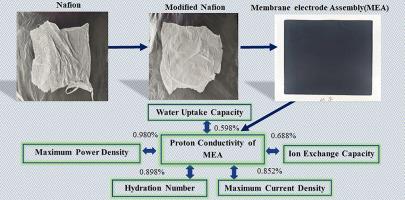 Proton conductivity performance and its correlation with physio-chemical properties of proton exchange membrane (PEM)