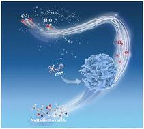 Synthesis of N-doped porous carbon derived from biomass waste for activating peroxymonosulfate in water decontamination: mechanism insight and biotoxicity assessment†