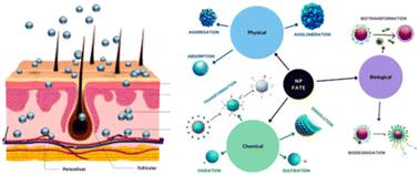 A critical review investigating the use of nanoparticles in cosmetic skin products