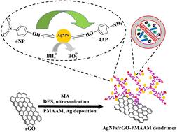 Synthesis of dendrimer stabilized high-density silver nanoparticles on reduced graphene oxide for catalytic and antibacterial properties†