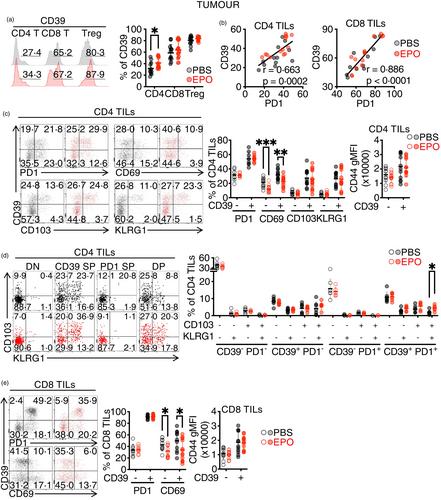 Erythropoietin induces tumour progression and CD39 expression on immune cells in a preclinical model of triple-negative breast cancer