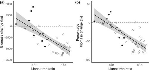 Lianas associated with continued forest biomass losses following large-scale disturbances