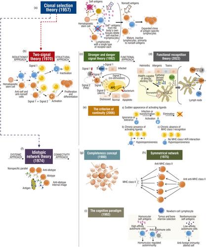 Theories of immune recognition: Is anybody right?