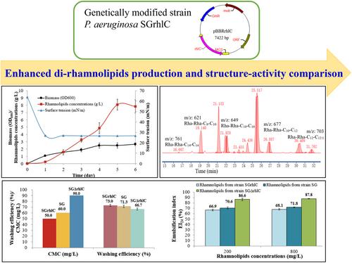 Increase proportion of di-rhamnolipids biosynthesized from Pseudomonas aeruginosa and evaluation of relationship between activity and di-rhamnolipids proportion