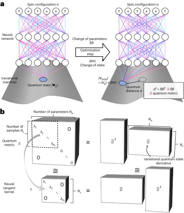 Efficient optimization of deep neural quantum states