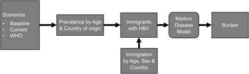 Modelling the potential impact of global hepatitis B vaccination on the burden of chronic hepatitis B in the United States