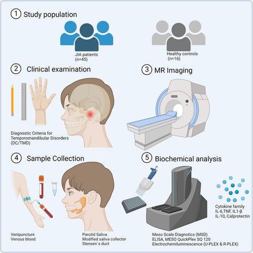 Parotid saliva and blood biomarkers in juvenile idiopathic arthritis in relation to temporomandibular joint magnetic resonance imaging findings