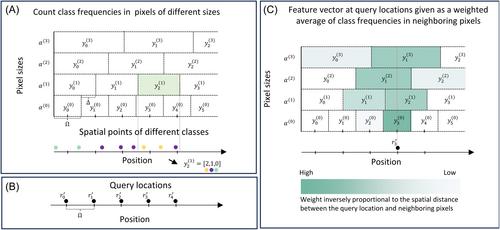 Points2Regions: Fast, interactive clustering of imaging-based spatial transcriptomics data