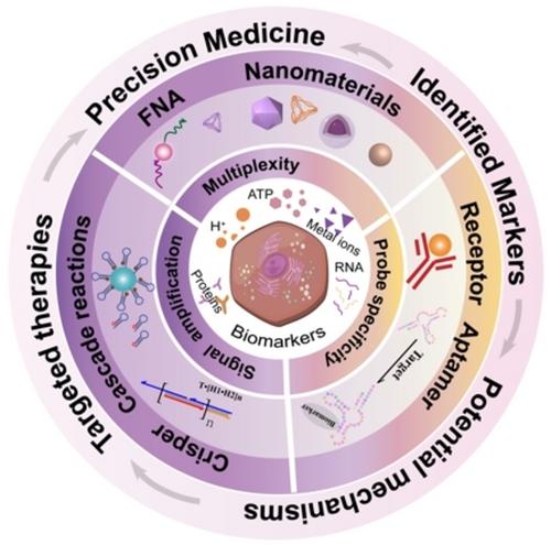 Biomarker Multiplexing with Rational Design of Nucleic Acid Probe Complex