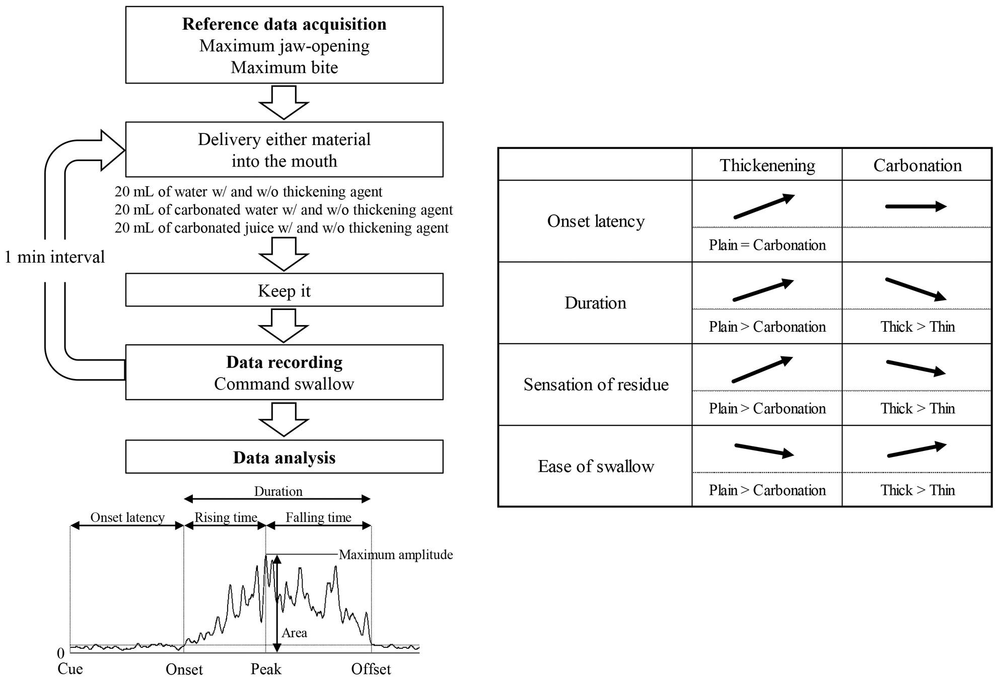 Effect of carbonation and thickening on voluntary swallow in healthy humans