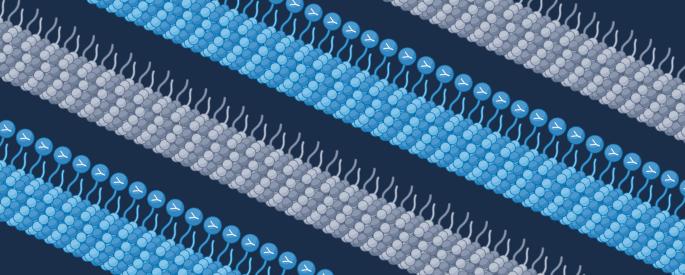 Potential new therapeutic target for HFpEF