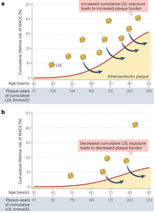 The LDL cumulative exposure hypothesis: evidence and practical applications