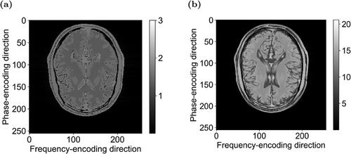 PhoenixMR: A GPU-based MRI simulation framework with runtime-dynamic code execution