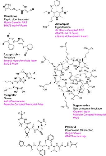 Biological and Medicinal Chemistry Sector of The Royal Society of Chemistry: Promoting Chemistry Learning, Networking and Excellence for Baby Boomers through to Gen Alpha!