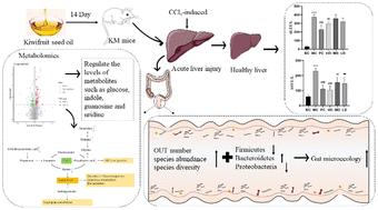 Analysis of the liver–gut axis including metabolomics and intestinal flora to determine the protective effects of kiwifruit seed oil on CCl4-induced acute liver injury