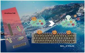 Fabrication of oxygen vacancy-rich BiO2− x/multi-walled carbon nanotubes with enhanced photothermal catalytic antibacterial performance†