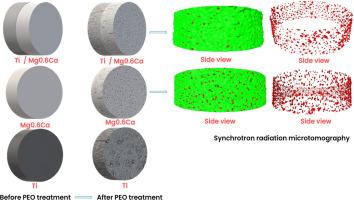 Improvement of corrosion resistance of PEO coated dissimilar Ti/Mg0.6Ca couple