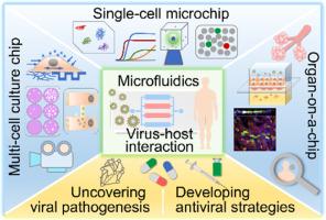 Advances in virus-host interaction research based on microfluidic platforms