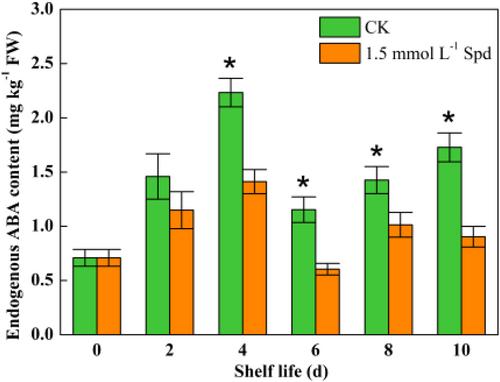 Exogenous spermidine treatment delays the softening of postharvest blueberry fruit by inhibiting the accumulation of abscisic acid