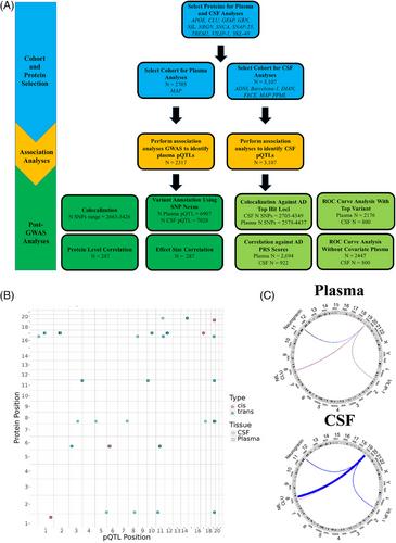 A genetic and proteomic comparison of key AD biomarkers across tissues