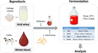 Valorization of byproducts from meat and dairy industries through fermentation to produce peptides