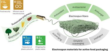 Electrospinning of sustainable polymers from biomass for active food packaging