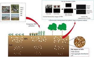 Distribution characteristics of soil microplastics and their impact on soil physicochemical properties in agricultural areas of the North China plain†