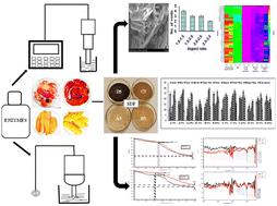 Explicating the effect of extraction methods on the techno-functional, structural, and in vitro prebiotic potential of soluble dietary fibers from mango and pomegranate peel